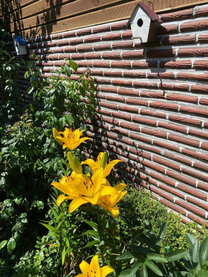 Hanok Guesthouse Suni Σεούλ Εξωτερικό φωτογραφία